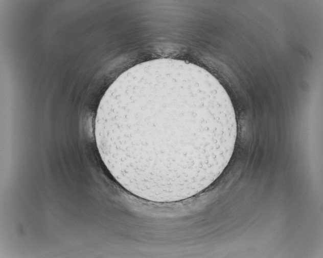 X0000111610042200908281100
