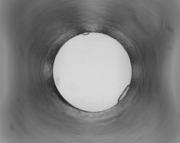 X0000111610043200908281100