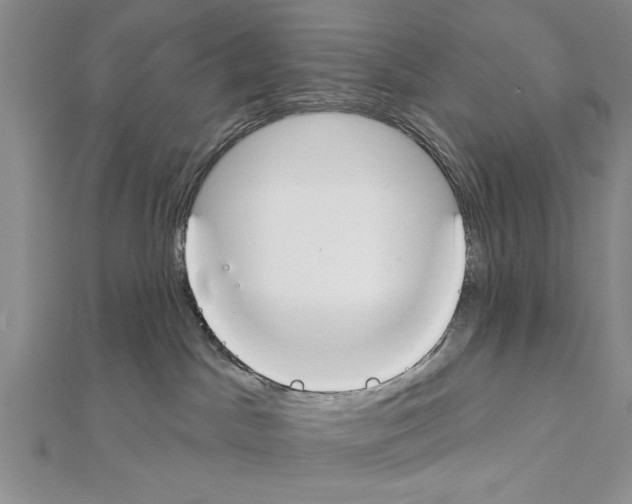 X0000111610045200908281100