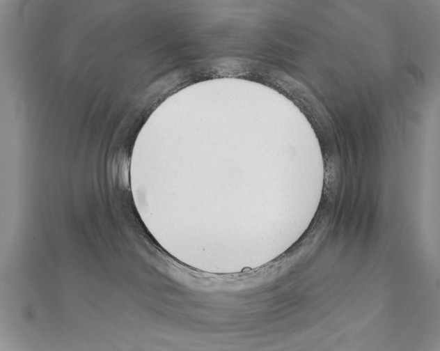 X0000111610046200908281100