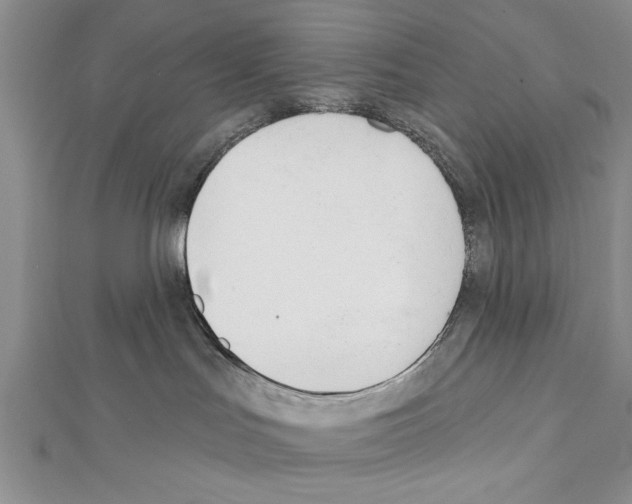 X0000111610047200908281100