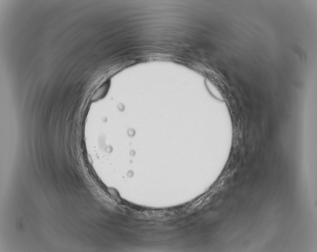 X0000111610049200908281059
