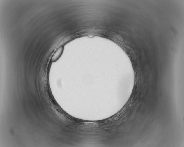 X0000111610050200908281059