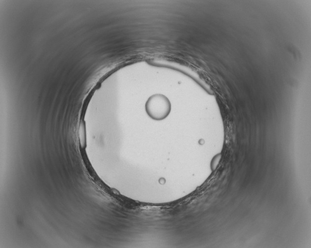 X0000111610052200908281059