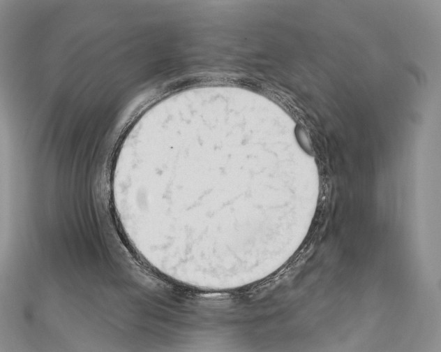 X0000111610053200908281059