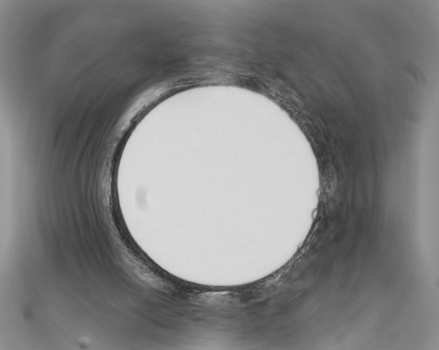 X0000111610054200908281059