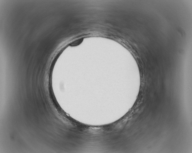 X0000111610055200908281059