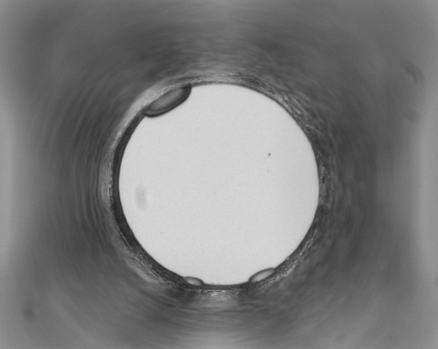 X0000111610056200908281059