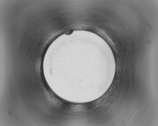 X0000111610058200908281059