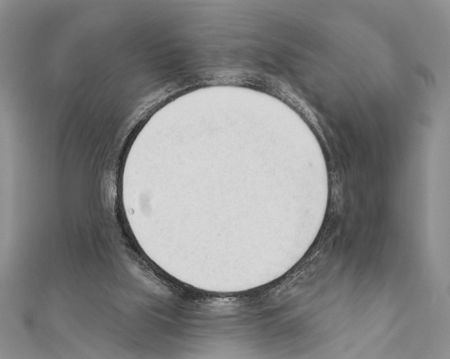 X0000111610059200908281059