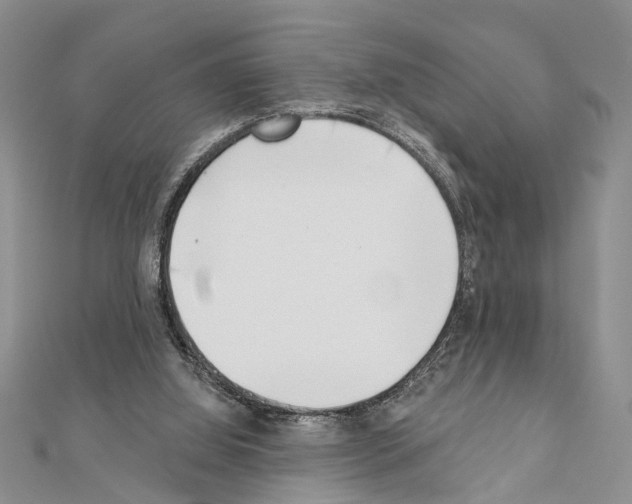 X0000111610060200908281059