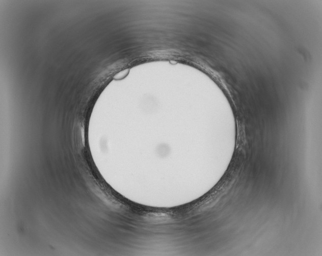 X0000111610061200908281059