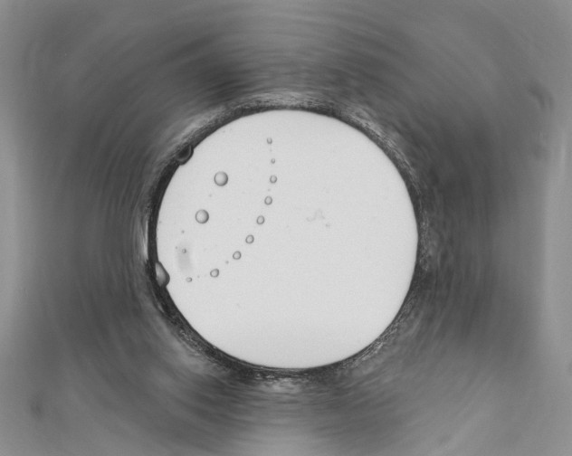 X0000111610062200908281059