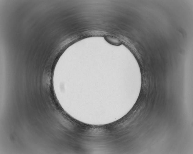 X0000111610063200908281059
