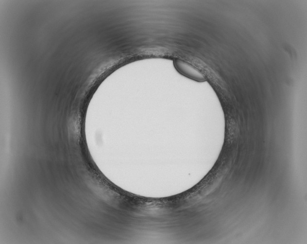 X0000111610064200908281059