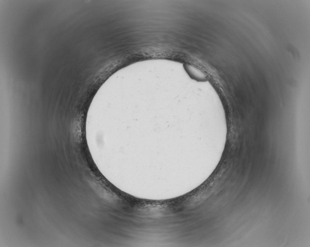 X0000111610065200908281059