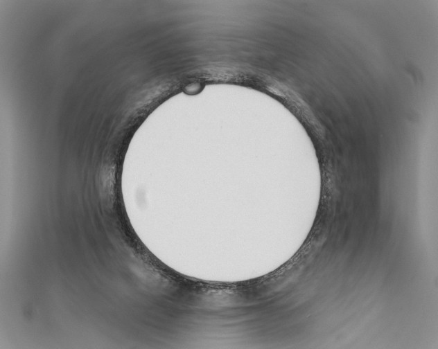 X0000111610066200908281059