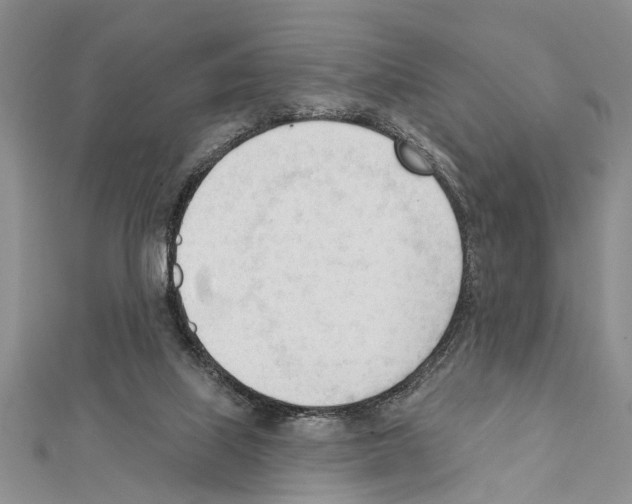X0000111610067200908281059