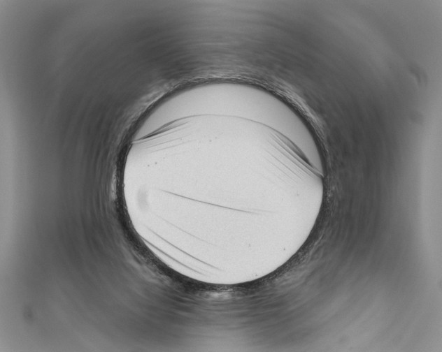X0000111610068200908281100