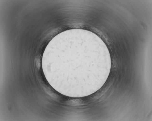 X0000111610069200908281100