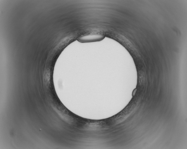 X0000111610072200908281100