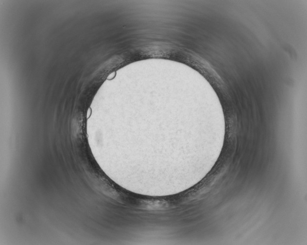 X0000111610073200908281100