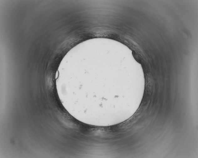 X0000111610074200908281100