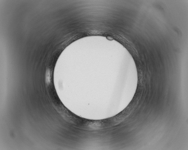 X0000111610075200908281100