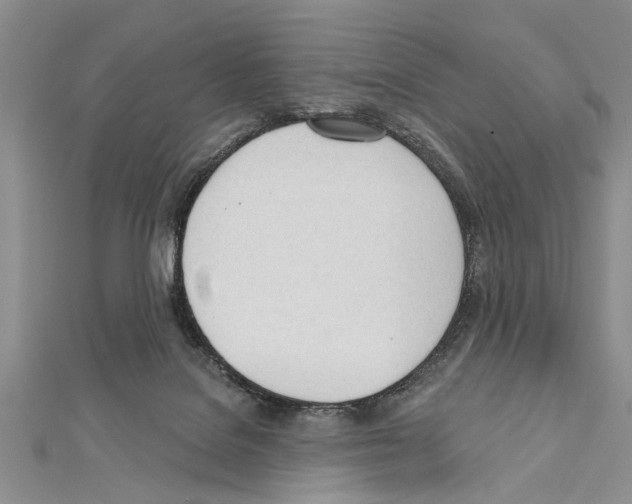 X0000111610076200908281100