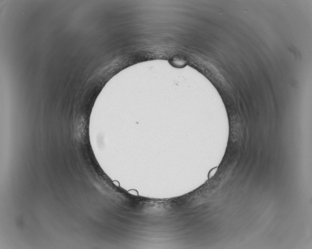 X0000111610077200908281100