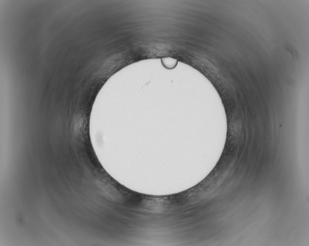 X0000111610079200908281100