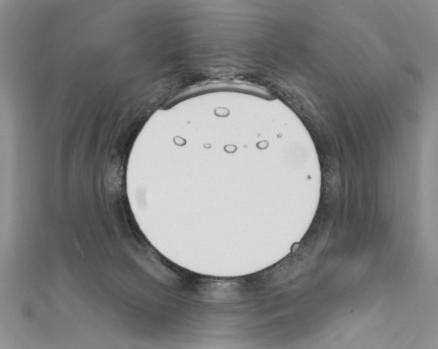 X0000111610081200908281100