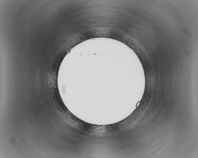 X0000111610083200908281100