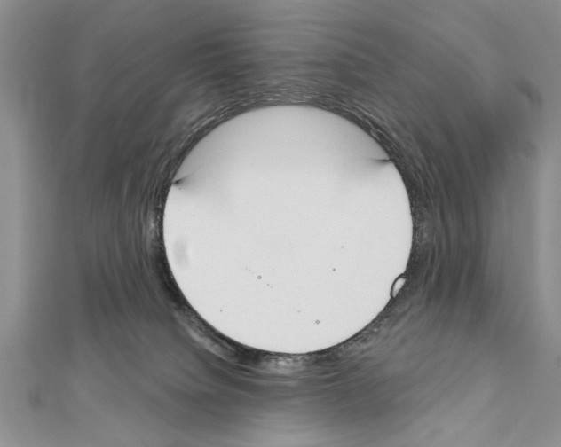 X0000111610084200908281100