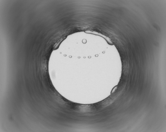 X0000111610085200908281100