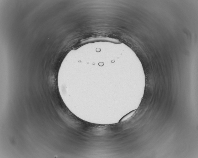X0000111610086200908281100