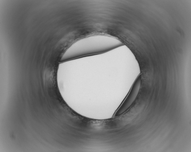 X0000111610088200908281100