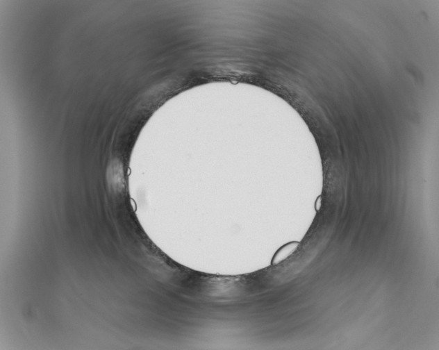 X0000111610089200908281100