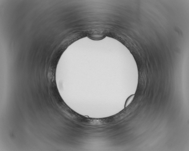 X0000111610091200908281100