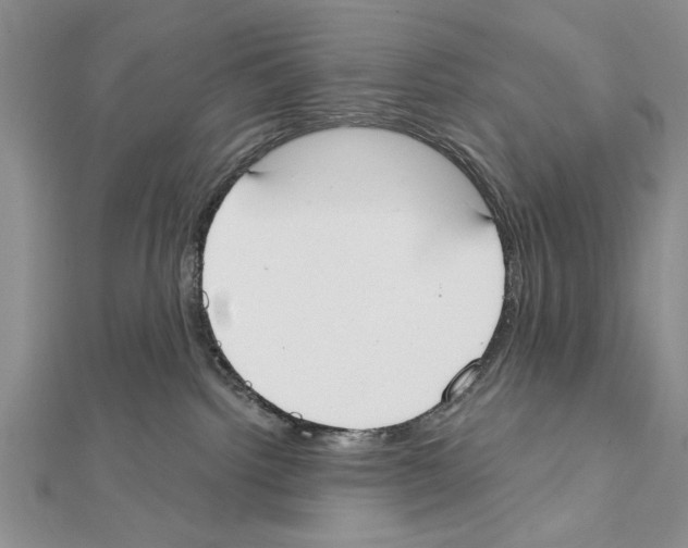 X0000111610092200908281100