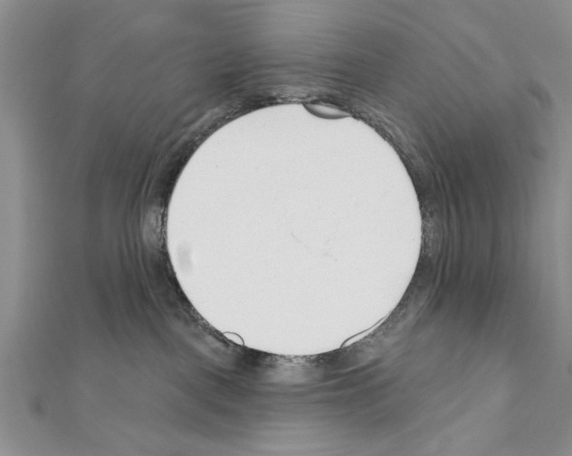 X0000111610093200908281100