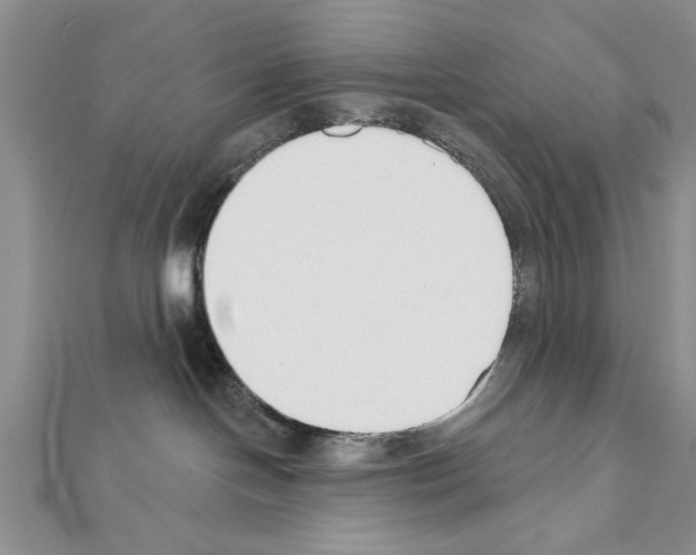 X0000111610094200908281100