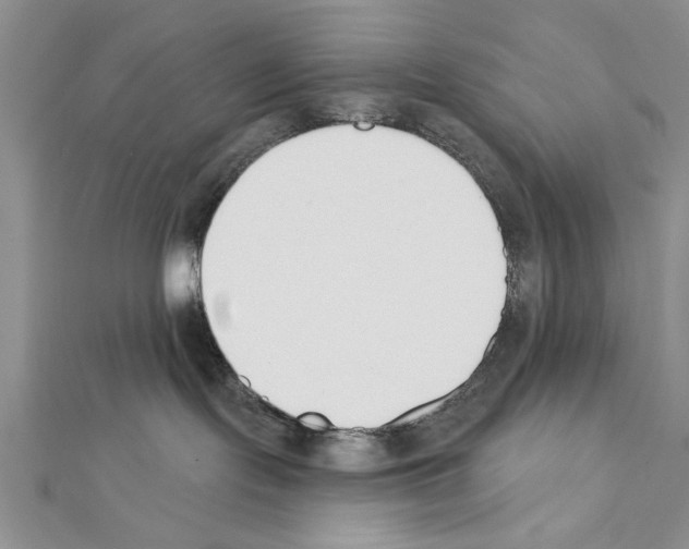 X0000111610095200908281100