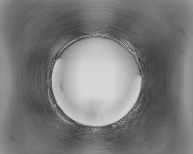 X0000111610097200908281059