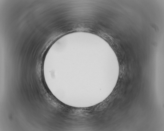 X0000111610098200908281059