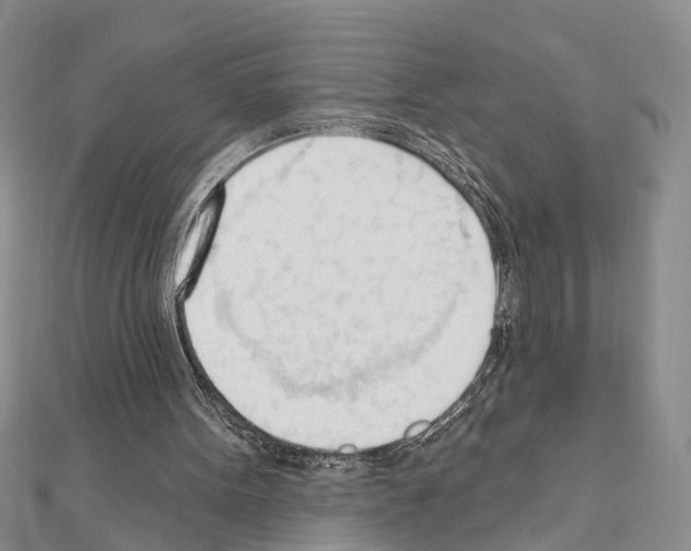X0000111610099200908281059