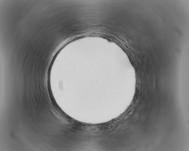 X0000111610100200908281059