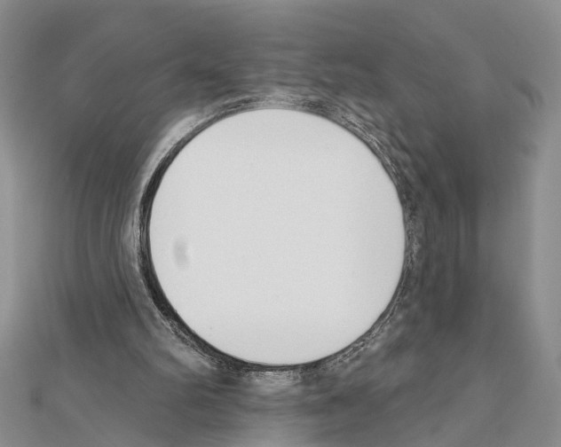 X0000111610102200908281059