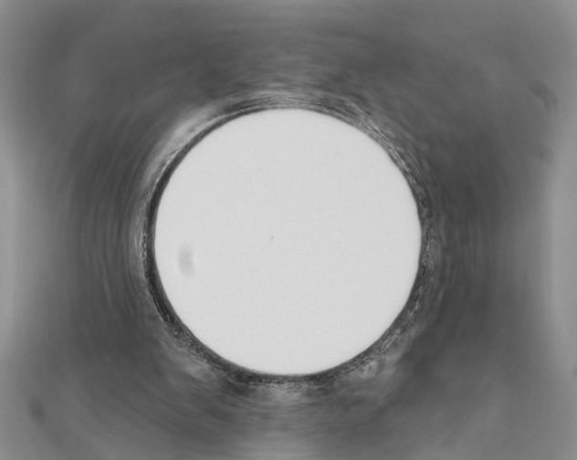 X0000111610103200908281059