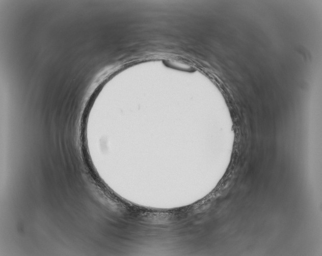 X0000111610104200908281059